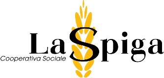 logo_spiga.jpg