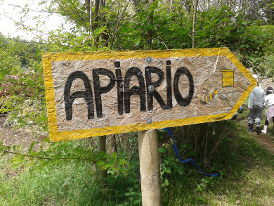 Apiario