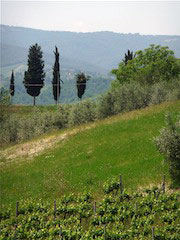 Toscana2012B