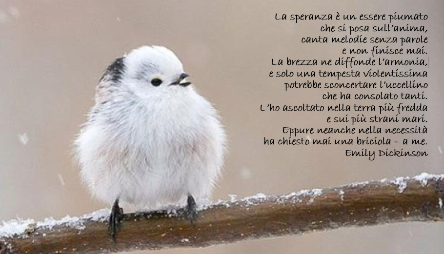 La speranza è un essere piumato che si posa sull’anima, canta melodie senza parole e non finisce mai. La brezza ne diffonde l’armonia, e solo una tempesta violentissima potrebbe sconcertare l’uccellino che ha consolato tanti. L’ho ascoltato nella terra più fredda e sui più strani mari. Eppure neanche nella necessità ha chiesto mai una briciola – a me. Emily Dickinson